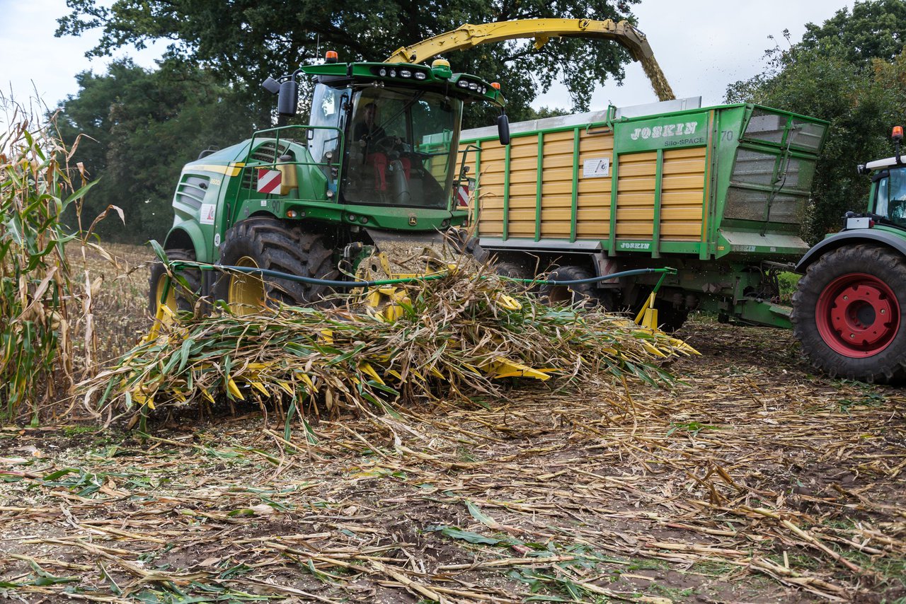 Bild 207 - Maisernte